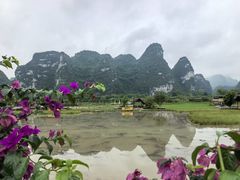 -明仕田园