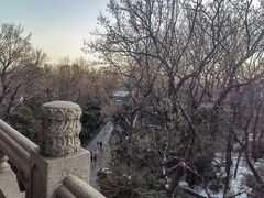 -灵谷景区
