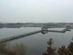 -溱湖国家湿地公园