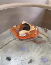 -弗蕾亚·和月月子调理院(东湖店)