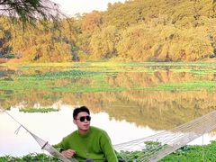 -南宁良凤江国家森林公园