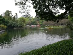 -晓港公园