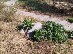 -意大利农场度假村