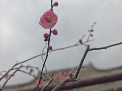 -宁波市保国寺古建筑博物馆