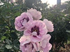 -人民公园(罗湖区)