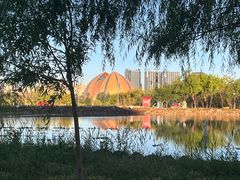 -新疆大剧院