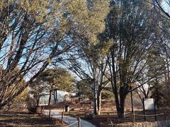 -国家植物园南园