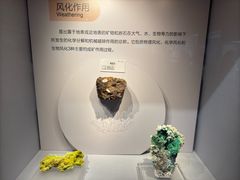 -湖南省地质博物馆