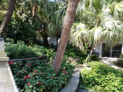 -厦门日月谷温泉渡假村