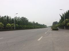 -洛阳古墓博物馆