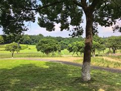 -宜兴龙背山森林公园