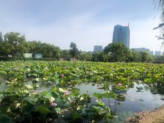 -无锡蠡湖国家湿地公园-蠡园