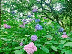 -城隍阁