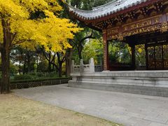 -汇龙潭