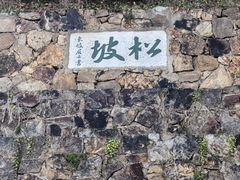 -东湖听涛景区