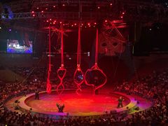 -俄罗斯国家大马戏团