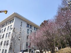 -武汉大学-桂园餐厅
