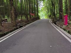 -山王坪喀斯特国家生态公园