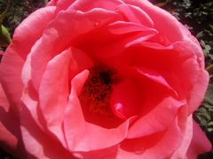 -人民公园(罗湖区)