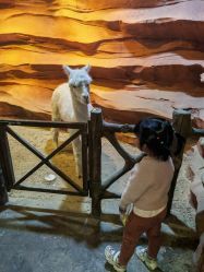 -酷嗒动物文化乐园(cutezoo西溪乐天城店)