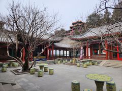 -宫事颐庭·老佛爷贵寿下午茶(颐和园店)