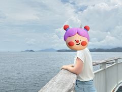 -野狸岛
