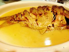 红烧黄河鲤鱼-裕丰源滋补烩面(天赋路店)