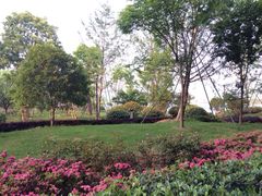 iphone_upload_pic-幸福湖国际会议中心