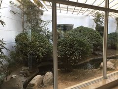 月亮河温泉度假酒店-月亮河温泉度假酒店