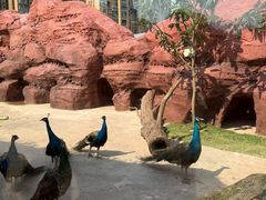 -福州罗源湾海洋世界旅游区