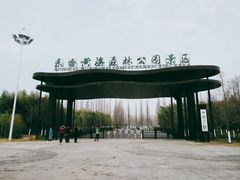 -黄海国家森林公园