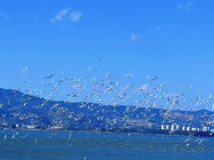 -海埂大坝