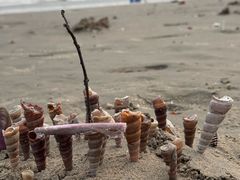 -万尾金滩