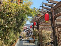 -慢丽江·云南野生菌土鸡锅(付家庄店)