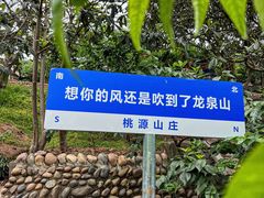 -桃源山庄·水蜜桃采摘·柴火鸡·烧烤团建(龙泉山店)