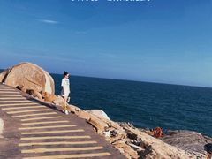 -广东惠东海龟国家级自然保护区