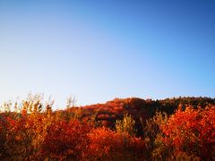 -北京西山国家森林公园