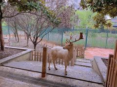 -海合安武汉极地海洋公园