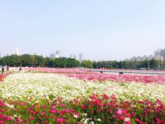 -海心沙亚运公园