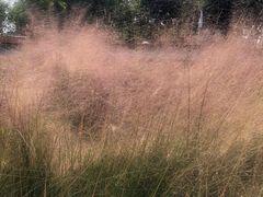 -怡海公园(桂城街道)