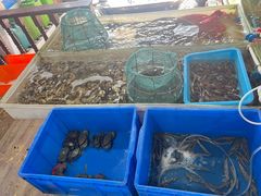 -罗源湾8号渔排