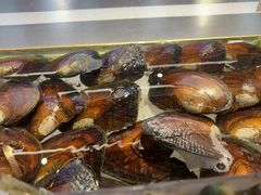 -十八字金银饰·拼豆·开蚌手工体验团建(君太百货店)