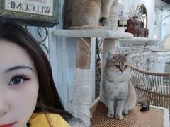 -共舞时光猫咖·狗咖(新街口店)