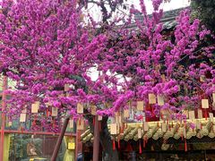 -西安市广仁寺