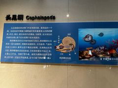 -安徽省地质博物馆