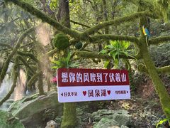 -伏羲山旅游区