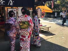 -有栖山 清光院 清水寺
