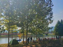 -羊亭河湿地公园