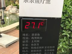 景点-思念果岭悦温泉