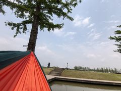 -春花秋色城市公园